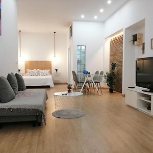 Appartement met een Slaapkamer
